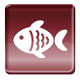Fish pairing Fish pairing